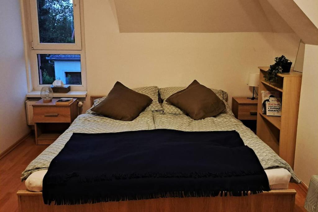 Zoeld Orom Apartman Lakas Göd Buitenkant foto